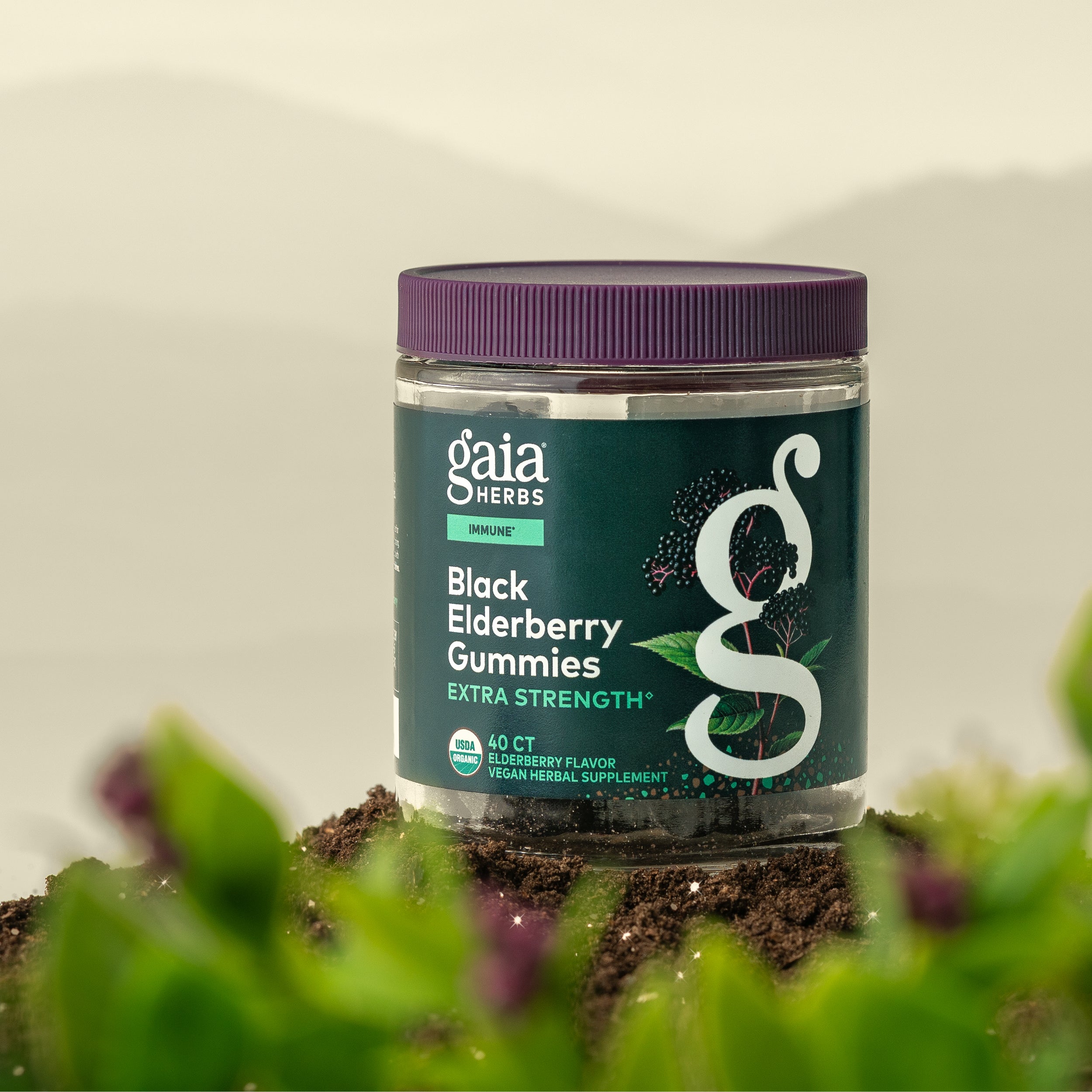 Gaia Herbs Black Elderberry Gummies jar with a purple lid on a natural background