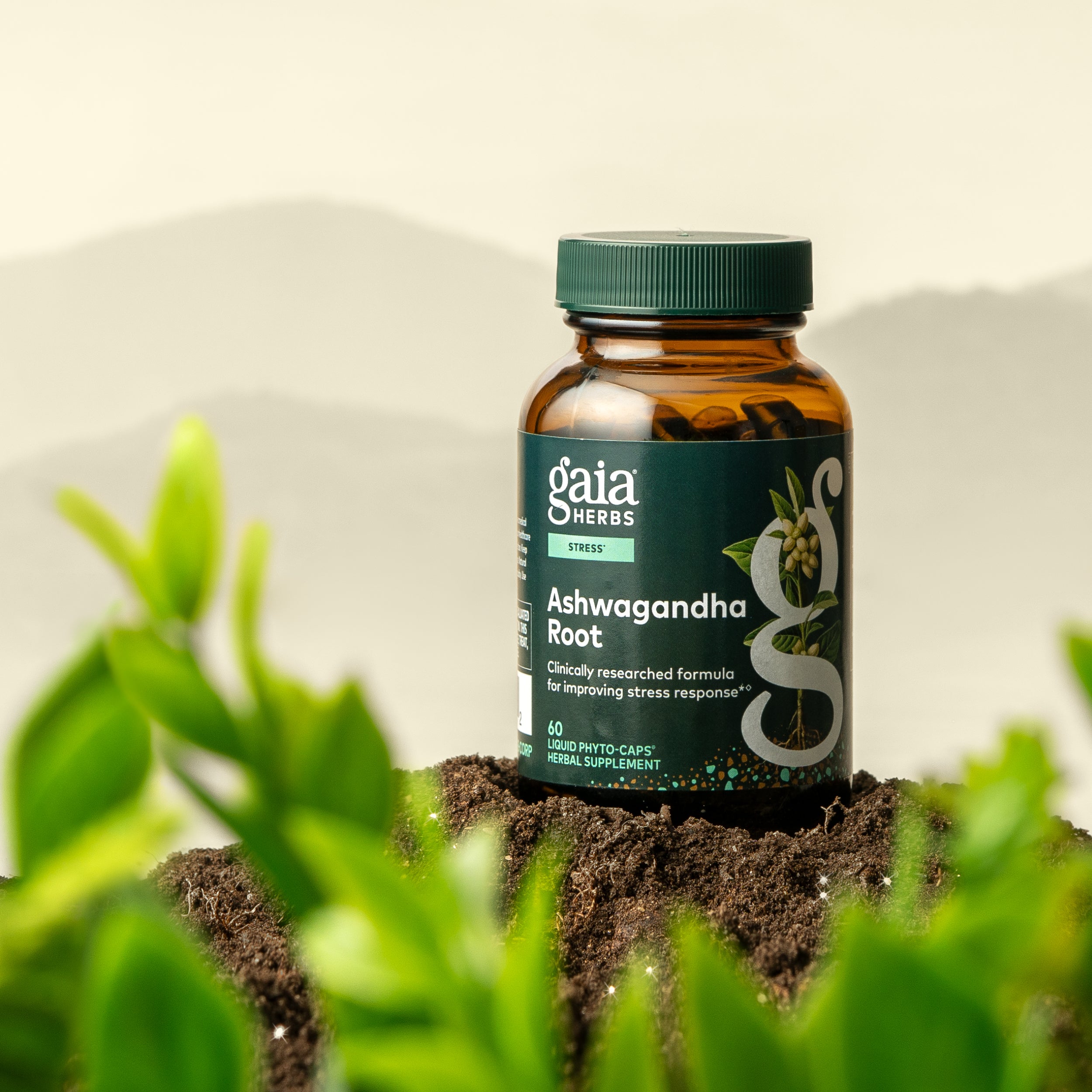 Gaia Herbs Ashwagandha Root supplement bottle on a bed of soil with plants around it.
