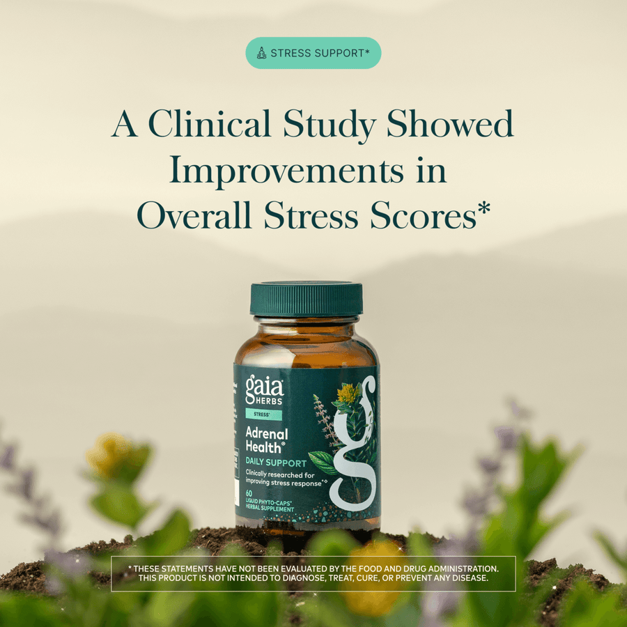 Local Witch Doctor Remedies Stress Relief Schisandra berry tinctures for adrenal support