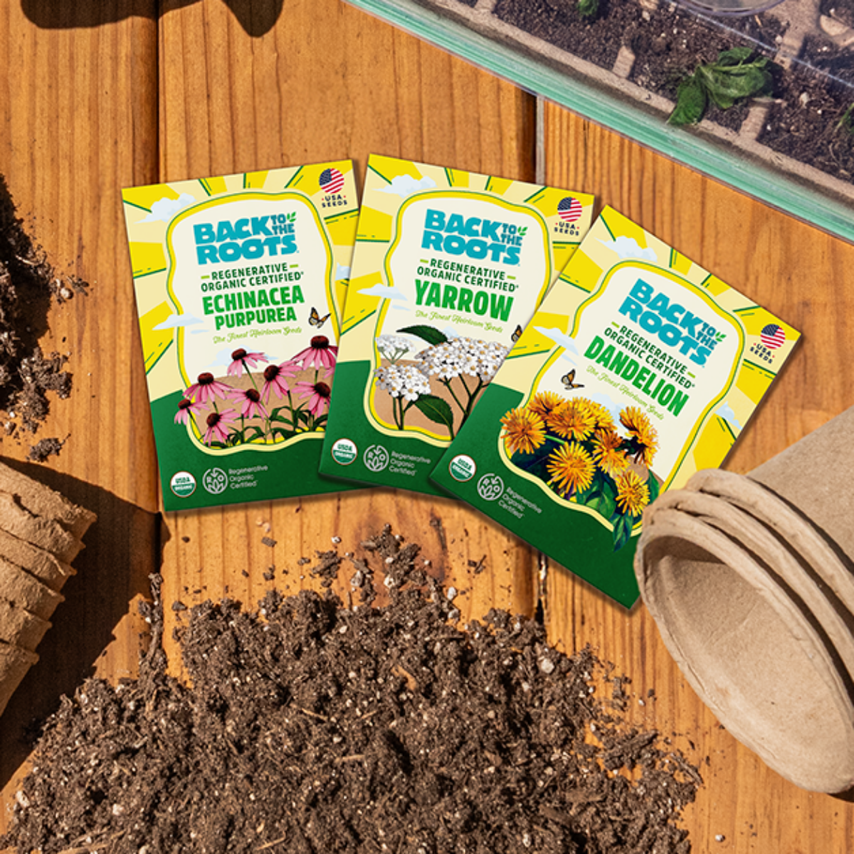 Seeds packets and gardening supplies on a wooden surface