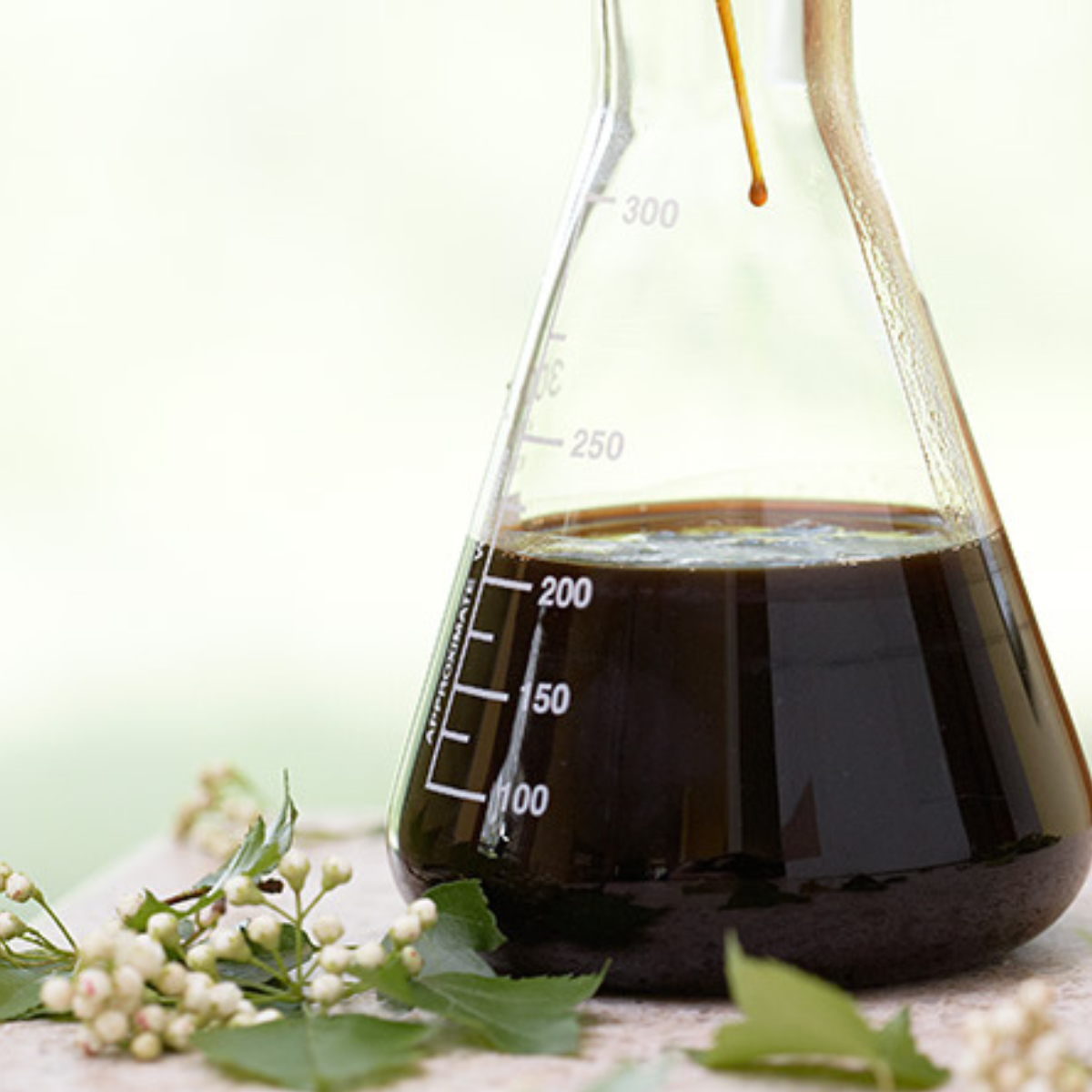 Volumetric flask with dark liquid next to green leaves and white flowers on a light background