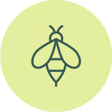 Icon of a bee on a light green circle