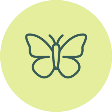 Butterfly icon on a light green circle