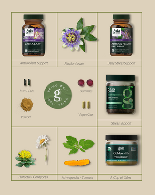 Gaia Herbs Calm Kit
