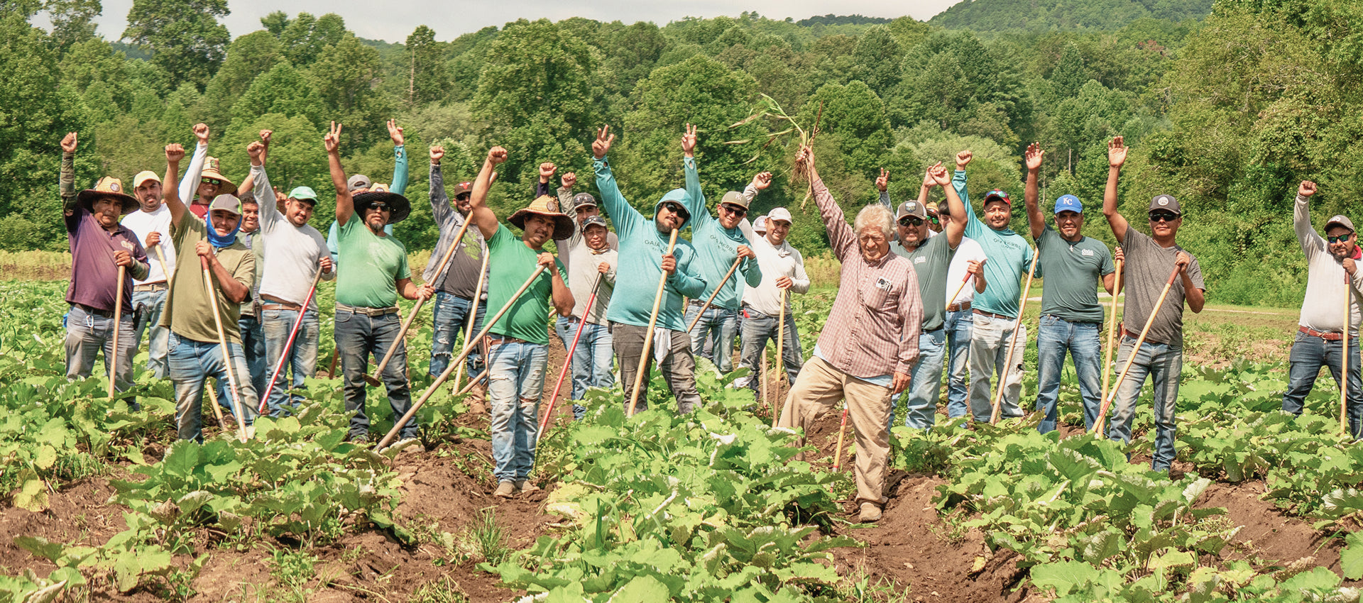 Group of farmers in a field with raised hands, celebrating or cheering.