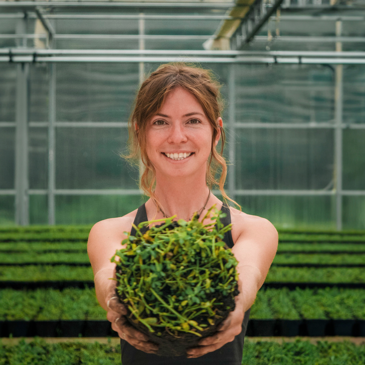 Woman holding a potted plant in a greenhouse