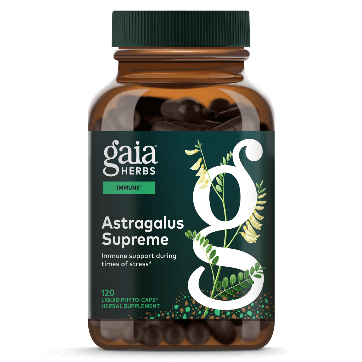 Gaia Herbs Astragalus Supreme for Immune Support || 120 ct