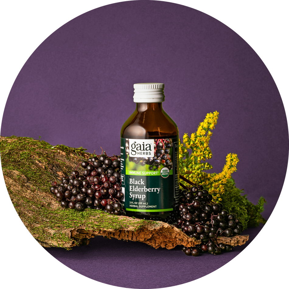 Gaia Herbs Black Elderberry Syrup