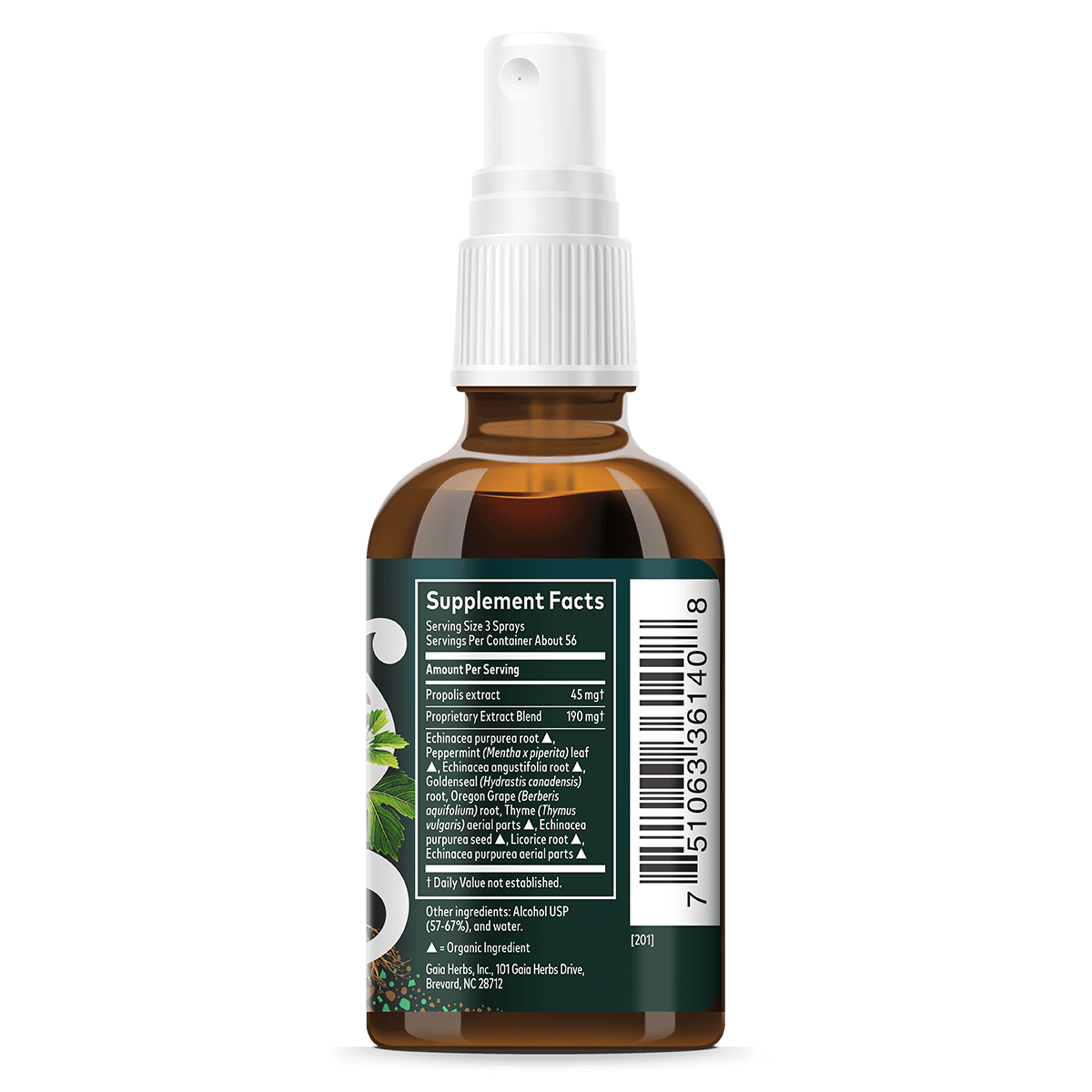 Echinacea Goldenseal Propolis Spray Supplement Facts bottle panel