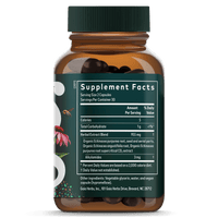 Echinacea Supplement for Everyday Immune Support