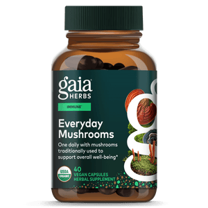 Everyday Mushrooms