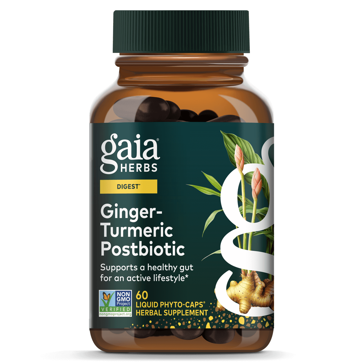 Gaia Herbs Ginger-Turmeric Postbiotic || 60 ct