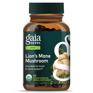 Lion's Mane Mushroom