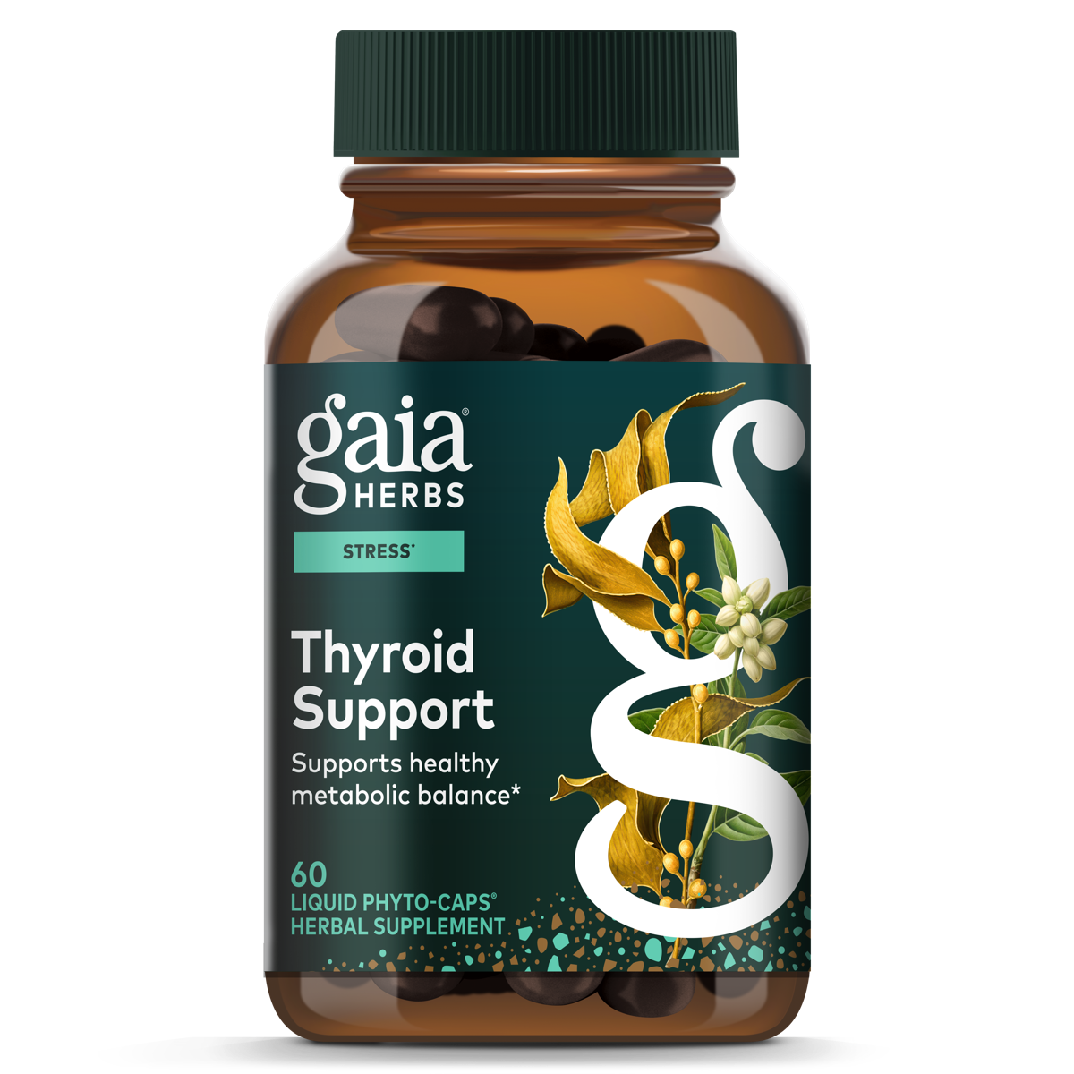 Thyroid Support 60 Count Front Of Bottle Rendering