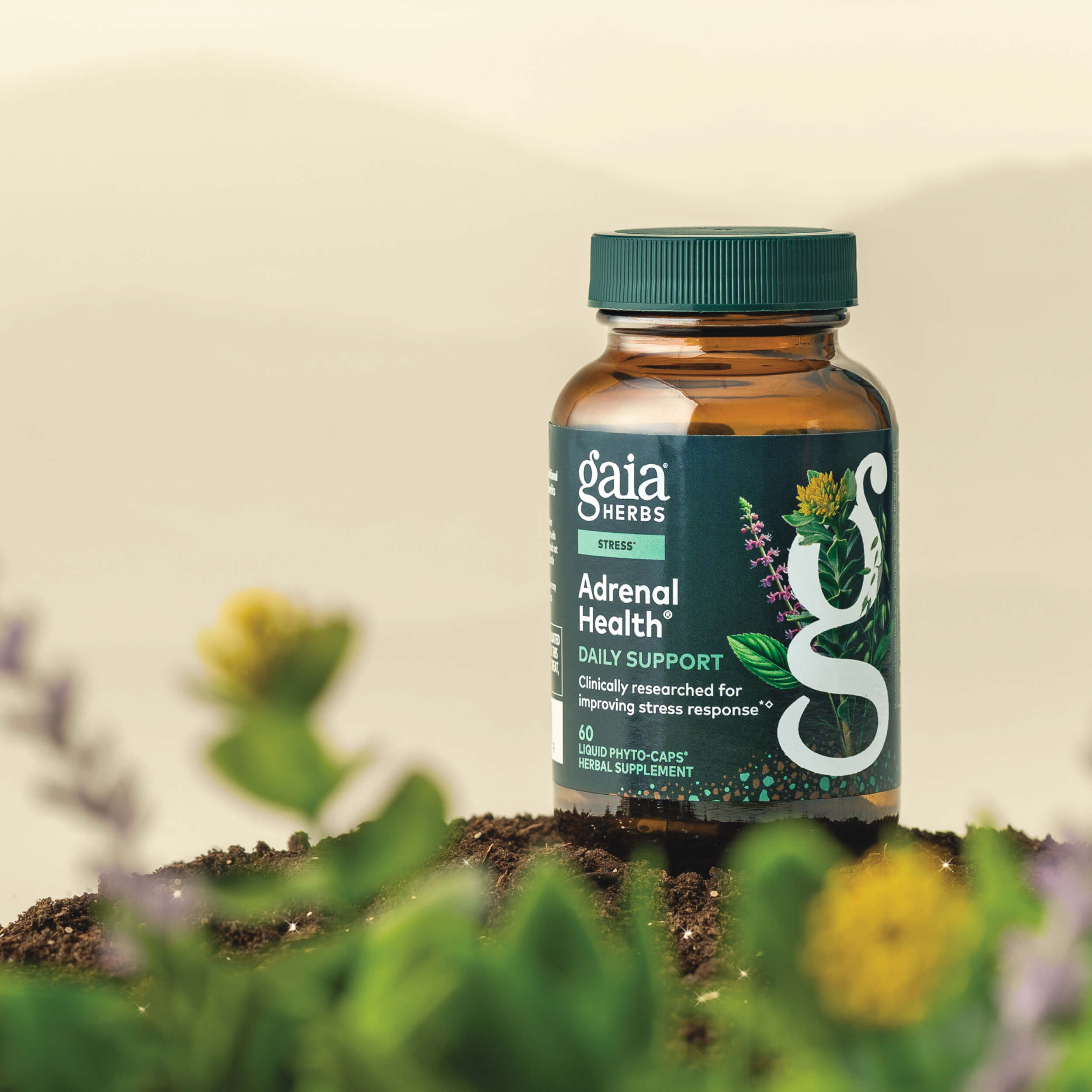 Gaia Herbs Adrenal Health Daily Support 60 count supplement bottle with plants in the foreground