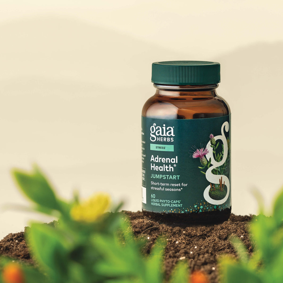 Gaia Herbs Adrenal Health Jumpstart 60 count supplement bottle with plants in the foreground