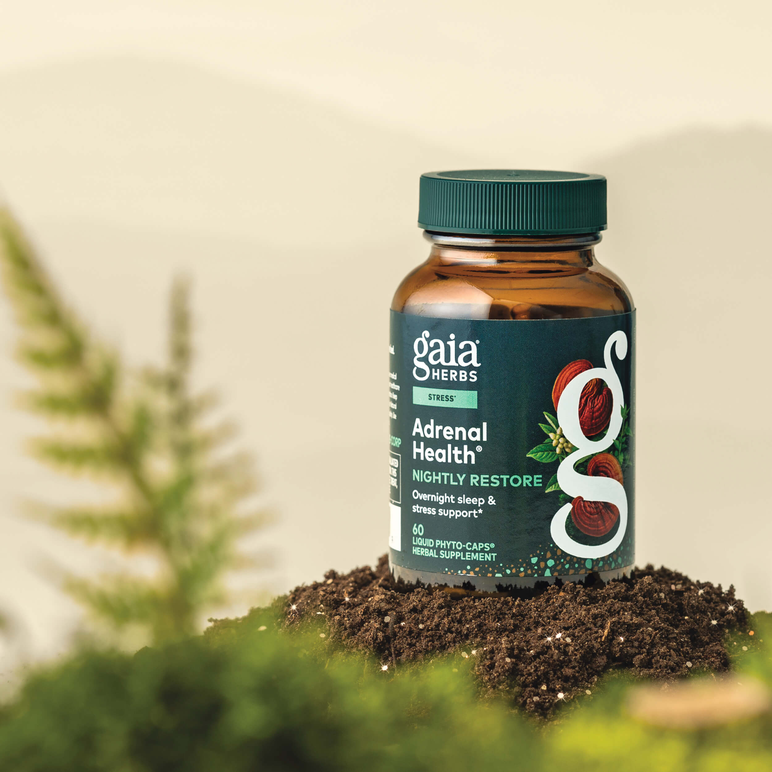 Gaia Herbs Adrenal Health Nightly Restore 60 count supplement bottle on a natural background with plants.