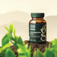 Gaia Herbs Ashwagandha Root 60 count supplement bottle with green leaves in the foreground