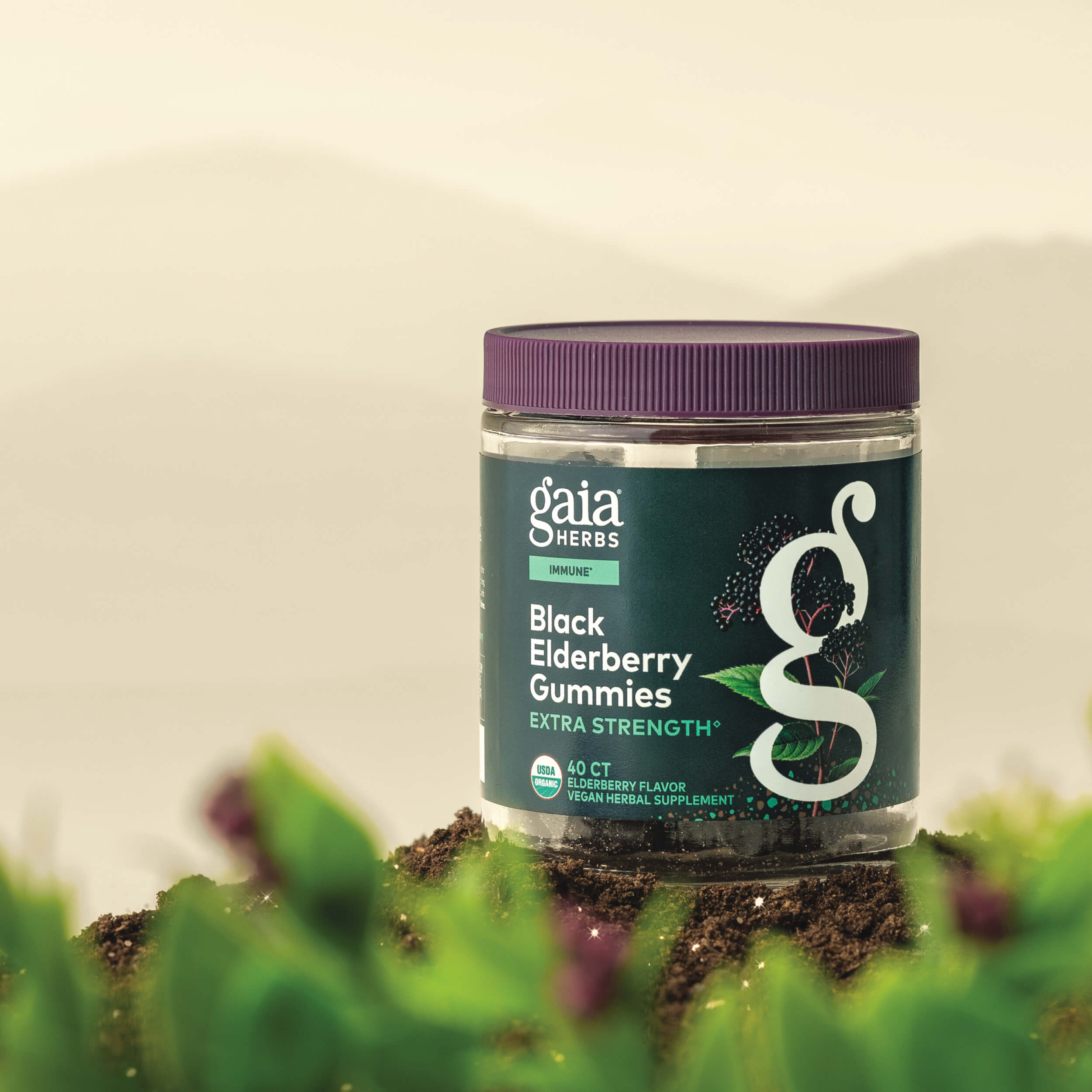 Black Elderberry Extra Strength Gummies | Gaia Herbs
