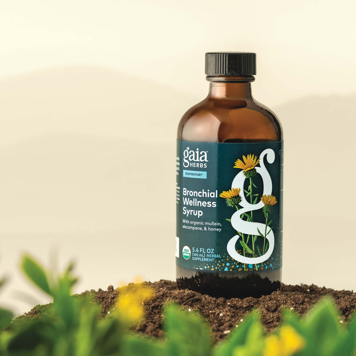 Gaia Herbs Bronchial Wellness Syrup 5.4 ounce bottle on a natural background with plants.