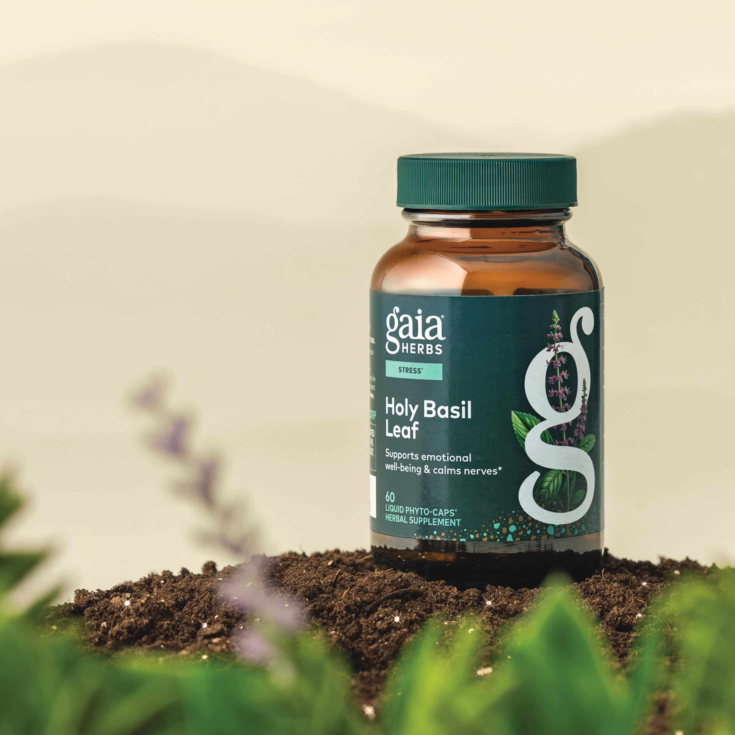未開封Pure Health Oasis Greens 2個Wingピュアヘルス Holy Basil Leaf Adaptogenic Supplement | Gaia Herbs