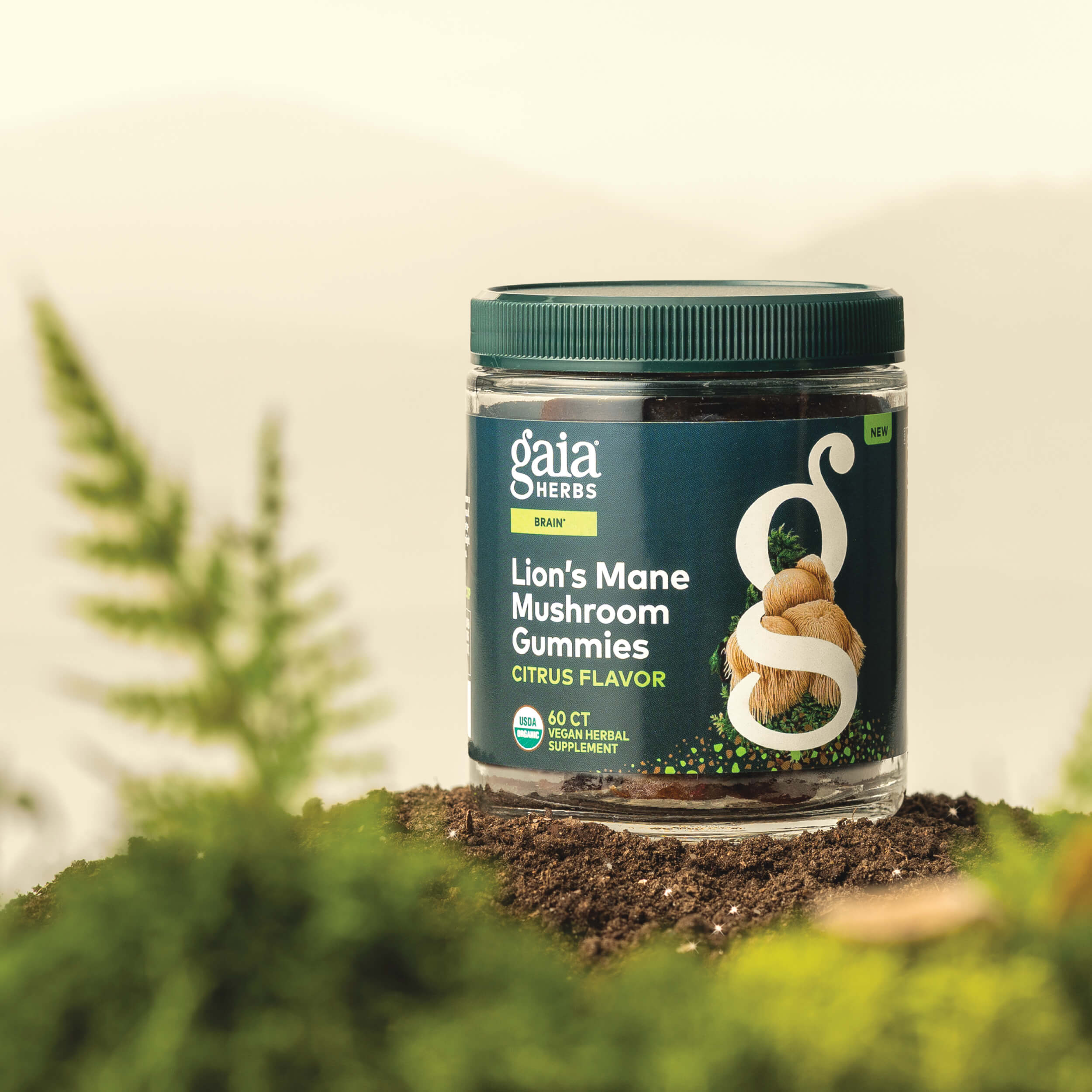 Gaia Herbs Lion's Mane Mushroom Gummies 60 count bottle on a natural background with plants.