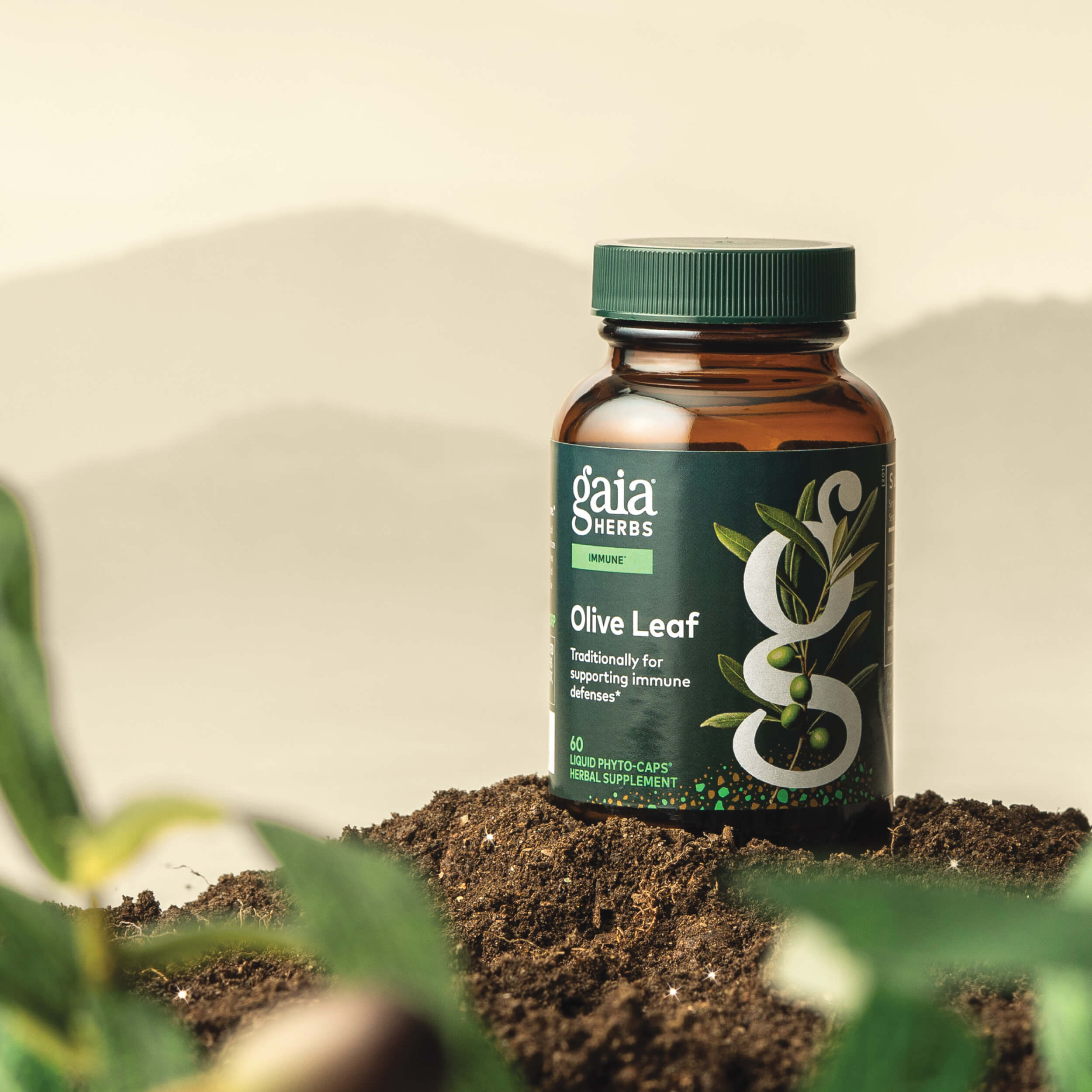 Olive Leaf Extract for Immune Function* | Gaia Herbs