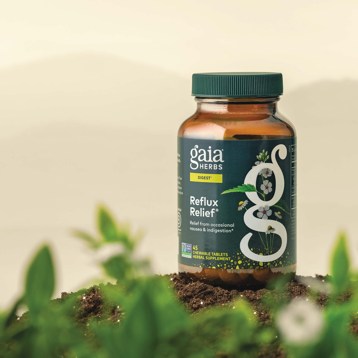 Gaia Herbs Reflux Relief 45 count supplement bottle on a natural background with plants.