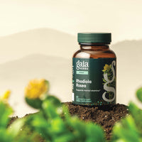 Gaia Herbs Rhodiola Rosea 60 count supplement bottle on a natural background with plants.