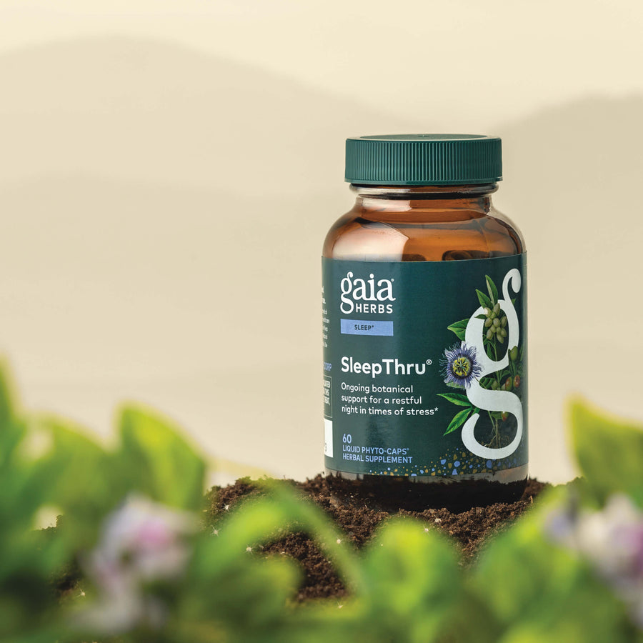Gaia Herbs SleepThru 60 count supplement bottle on a natural background with plants.