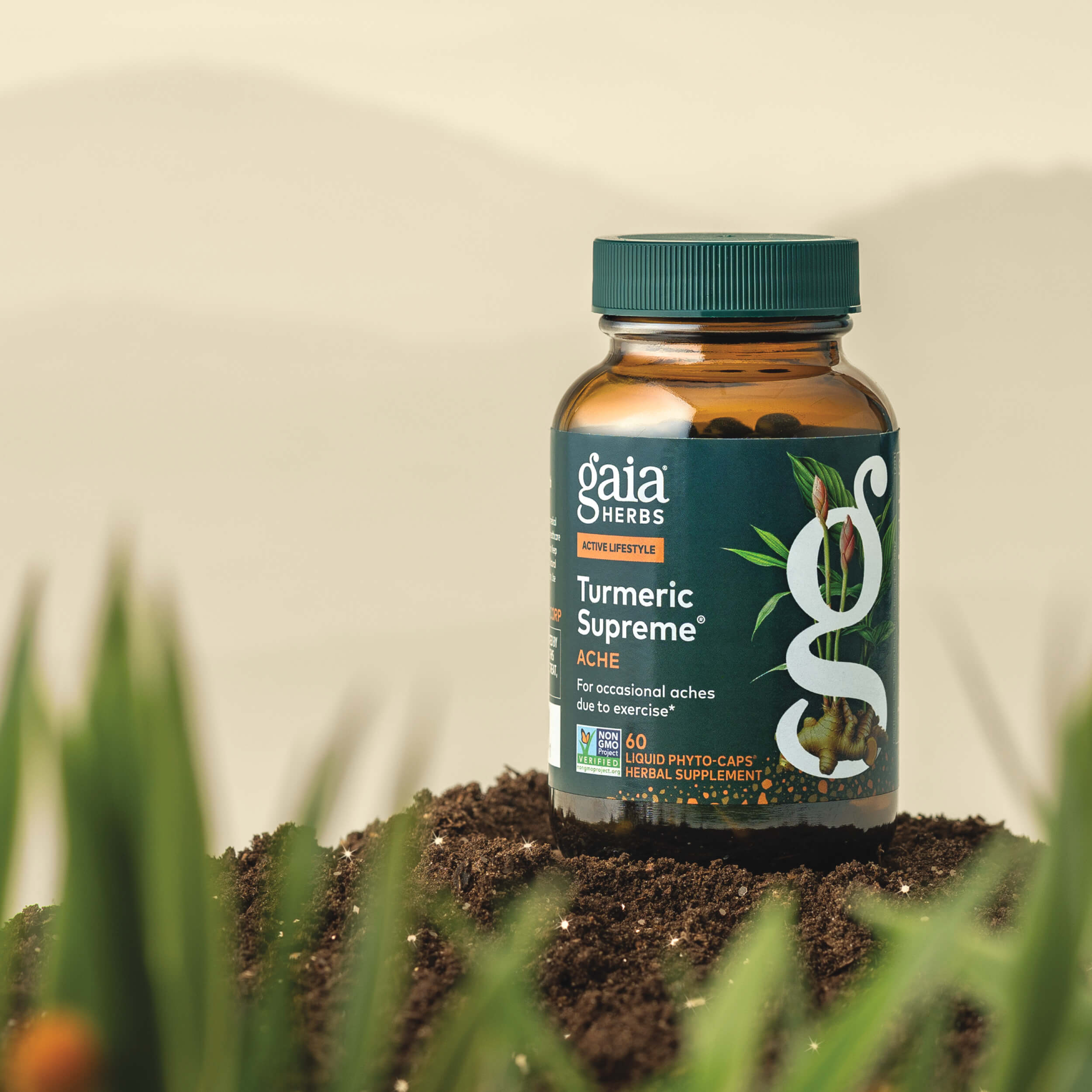 Turmeric Supreme Ache - Daytime Comfort* | Gaia Herbs