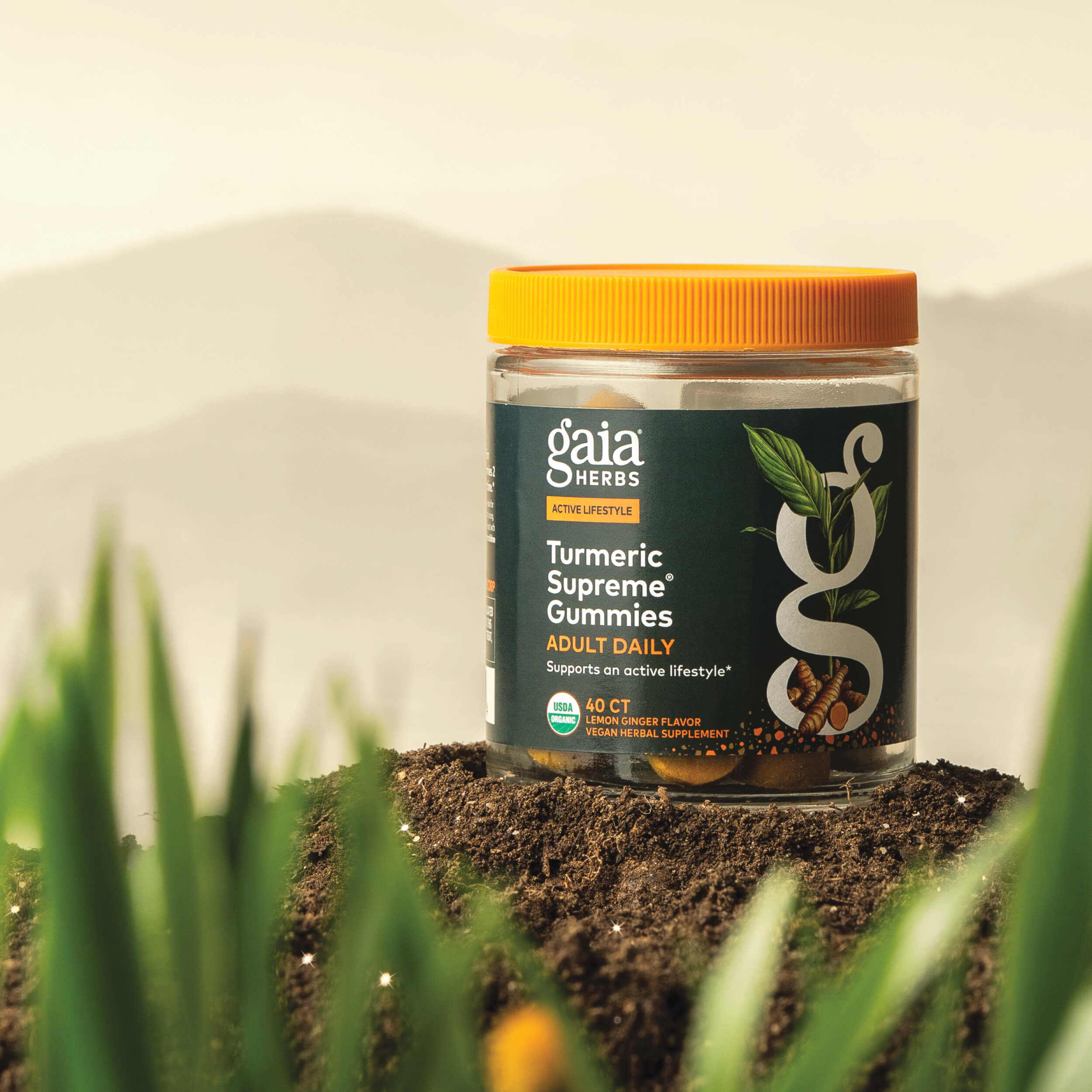 Turmeric Gummies - Supports Healthy Inflammatory Function