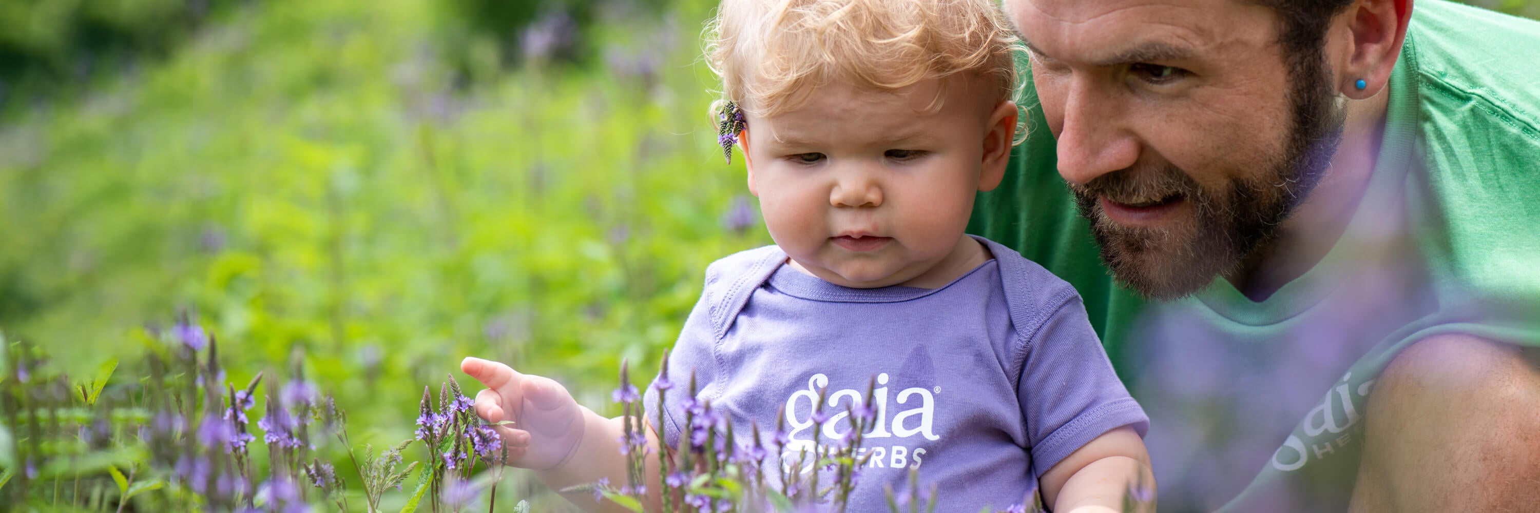 Man and child in a field of flowers with 'Gaia Herbs' branding.