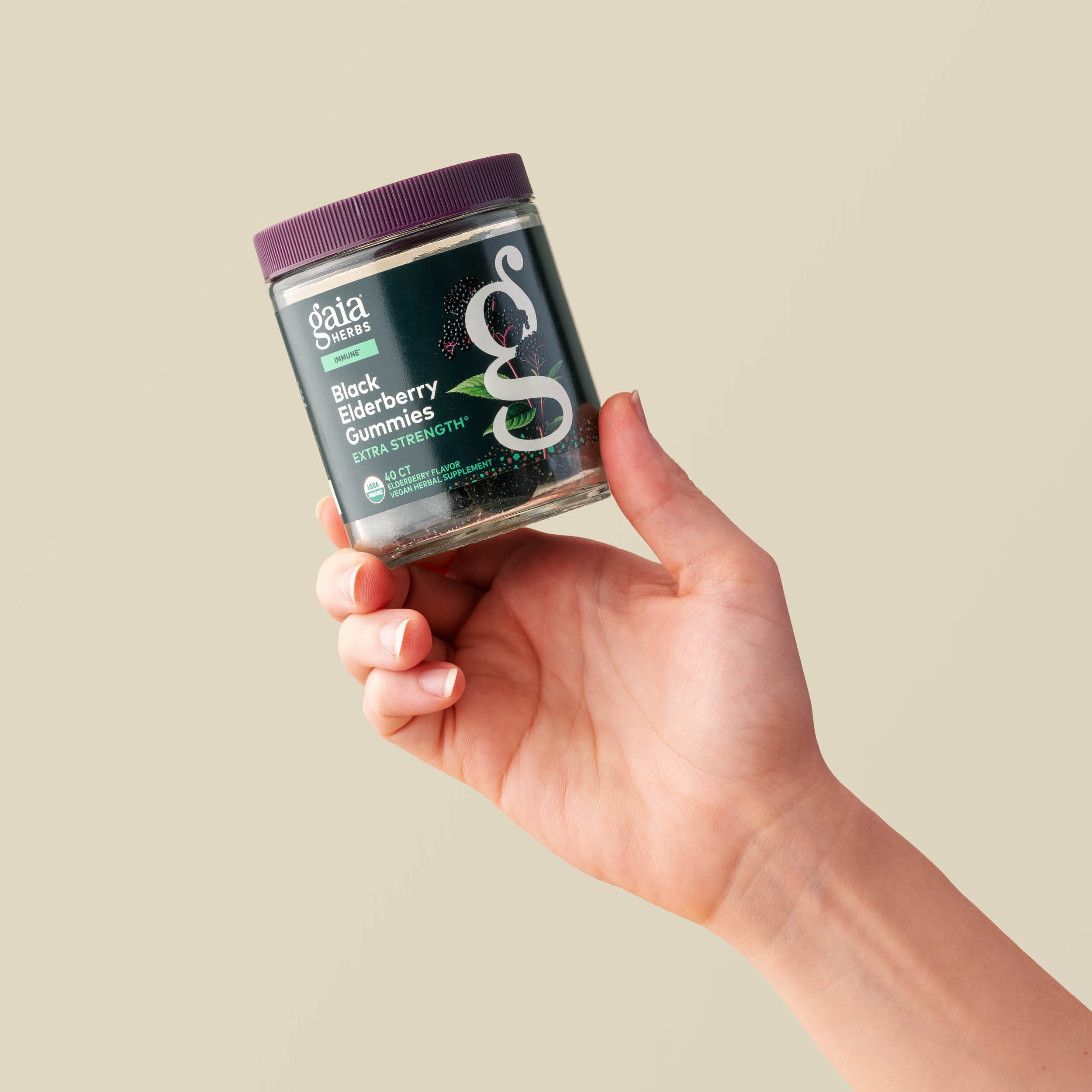 Black Elderberry Extra Strength Gummies | Gaia Herbs