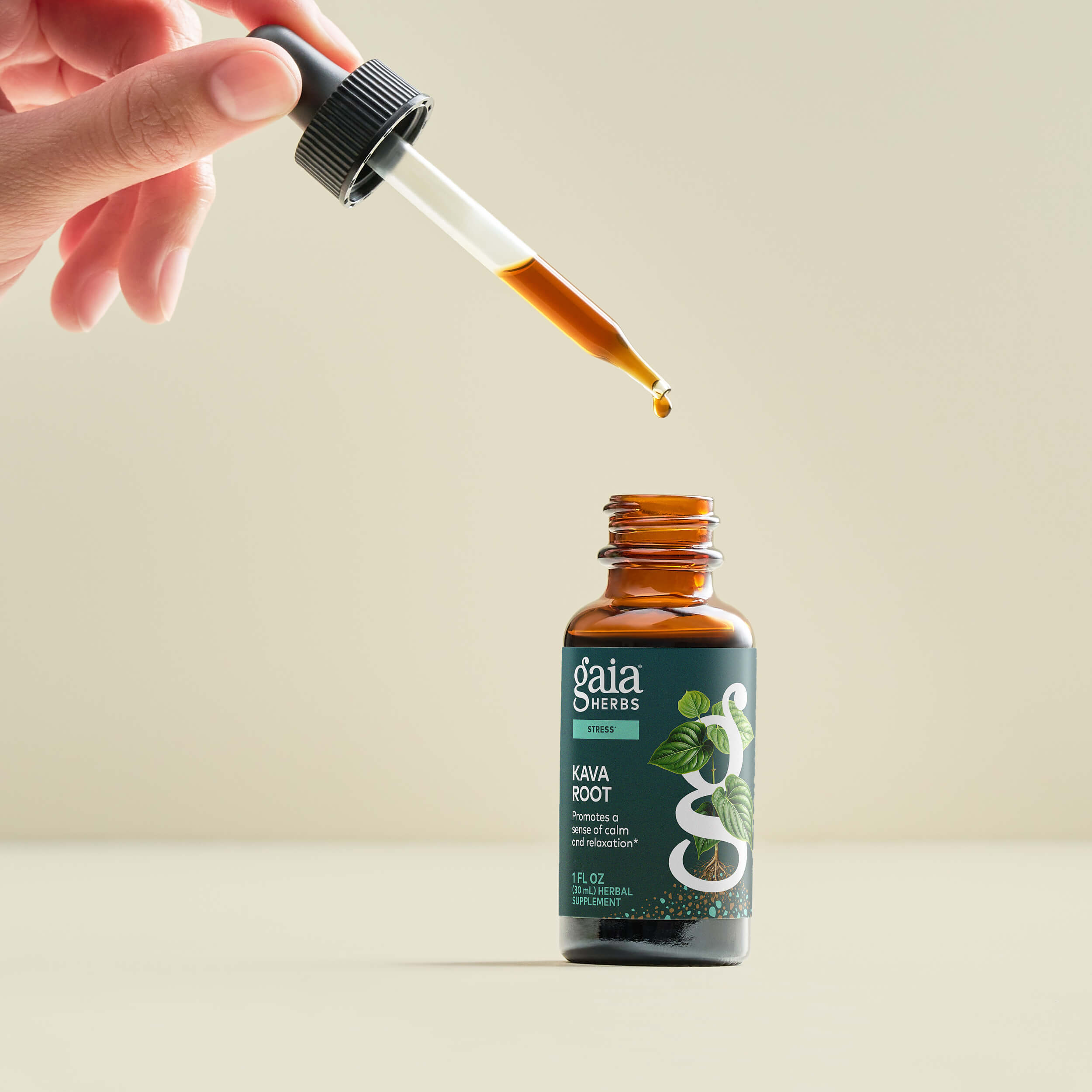 Kava 50 Concentrated Root Extract Capsules | Gaia Herbs