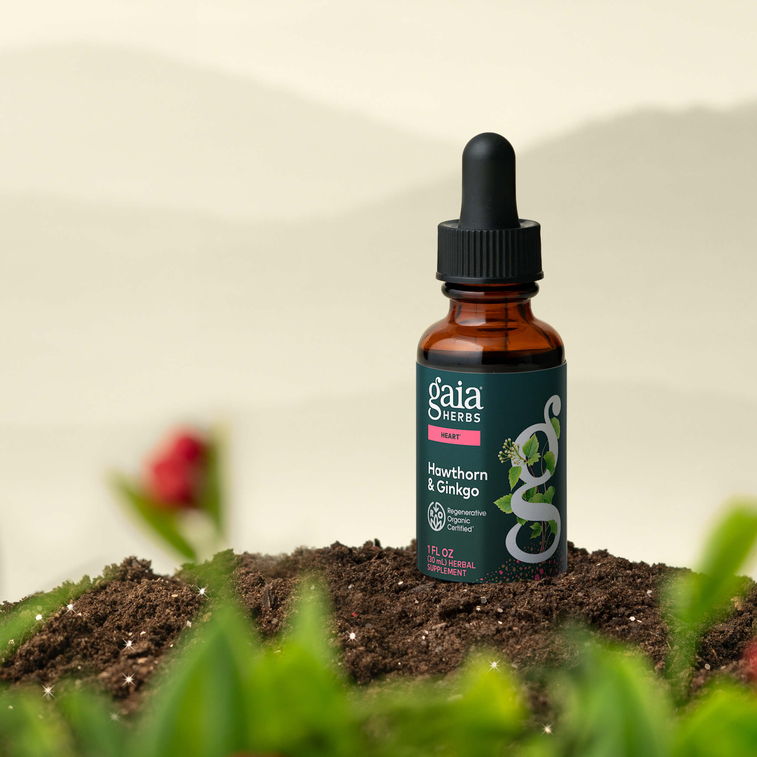 Hawthorn & Ginkgo for Heart Support*