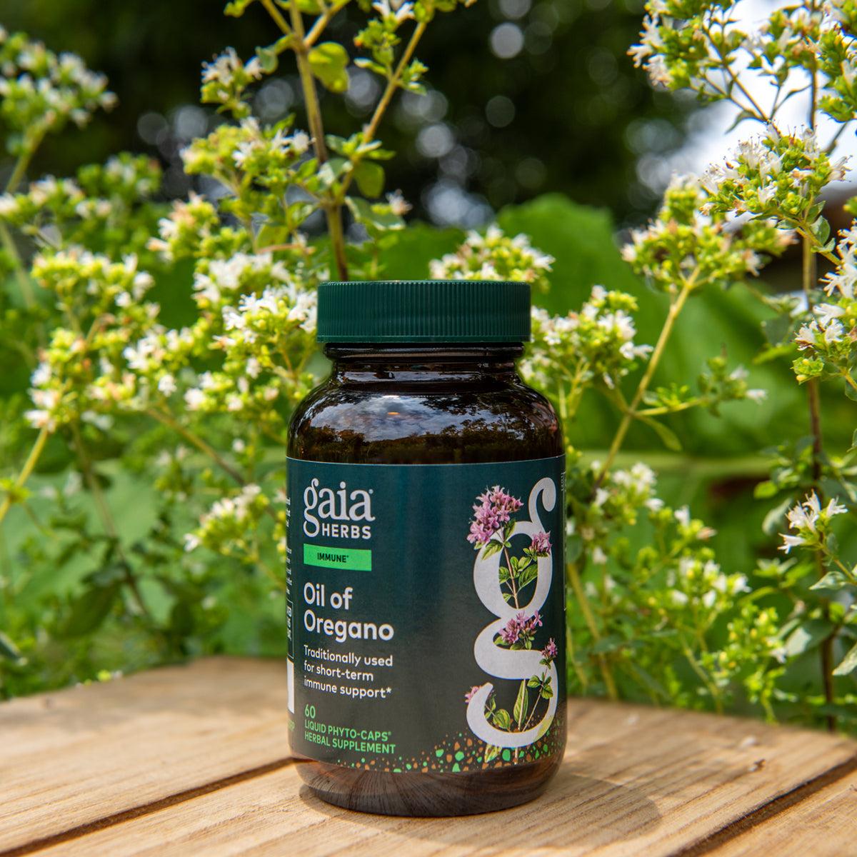 Gaia Herbs Oil of Oregano bottle on a wooden surface with greenery in the background