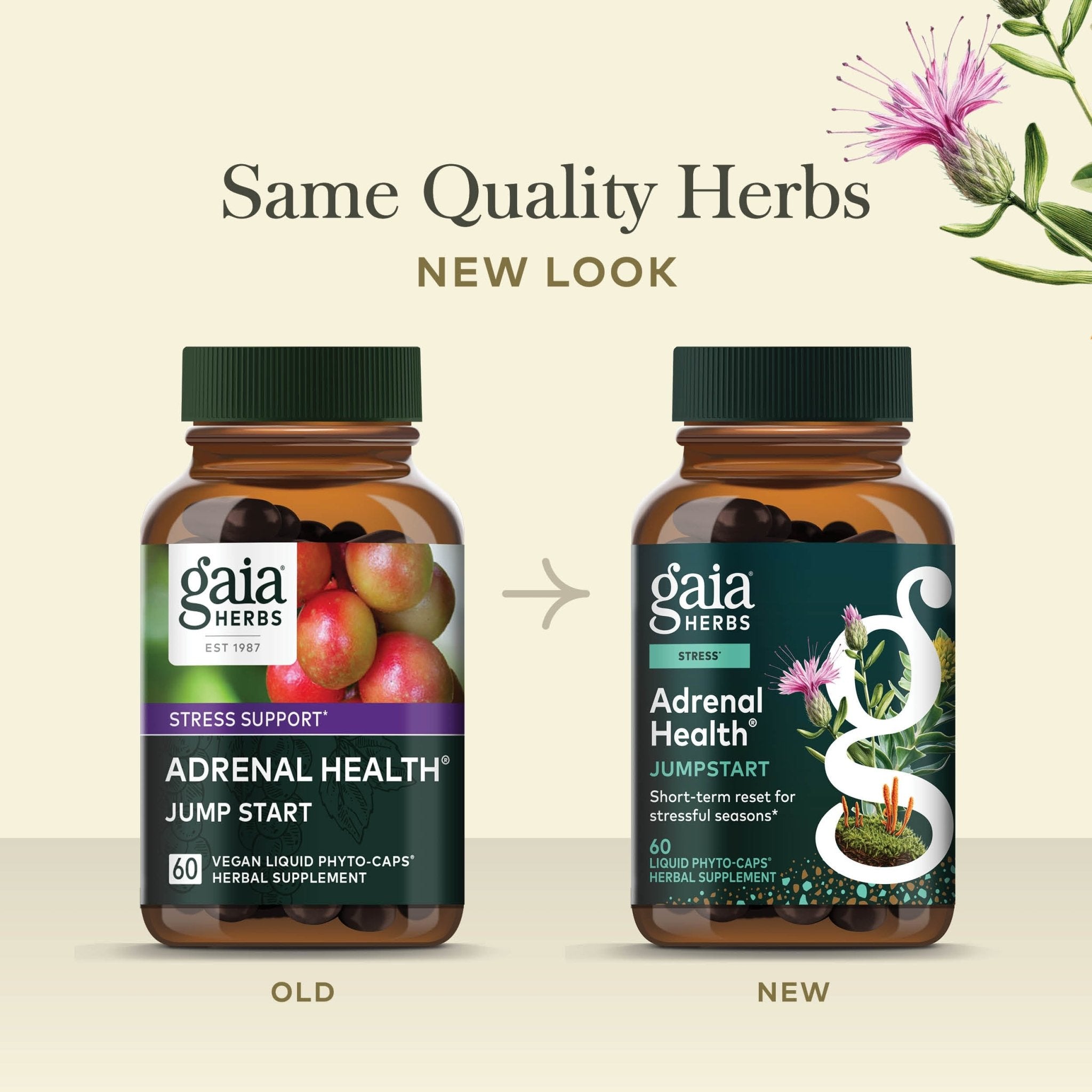 Adrenal Health Jump Start Supplement | Gaia Herbs