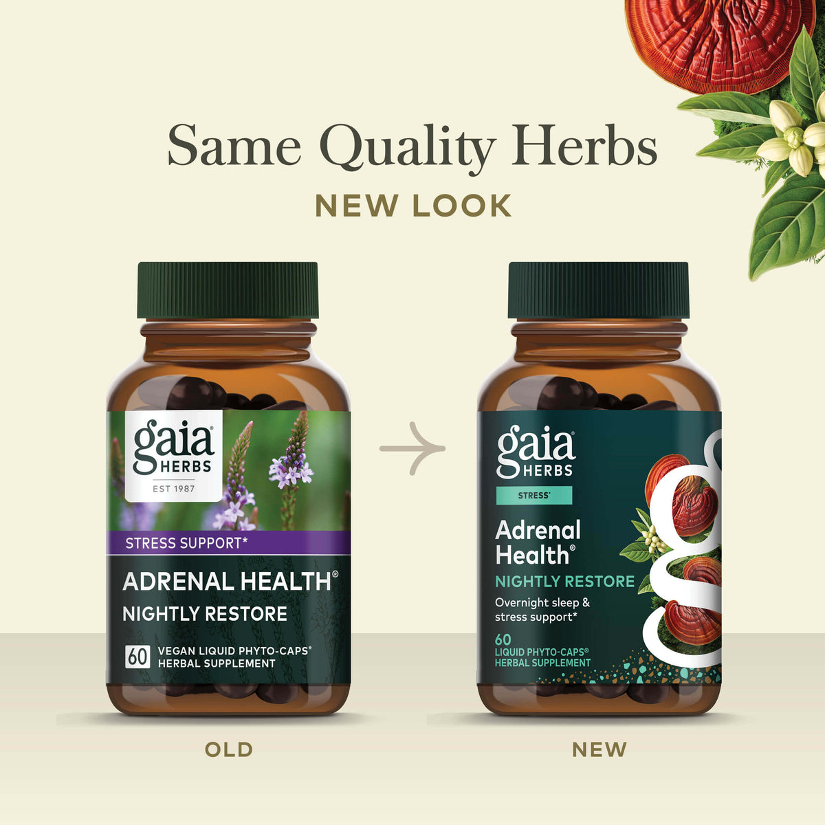 Adrenal Health Nightly Restore Old Label Versus New Label Comparison 