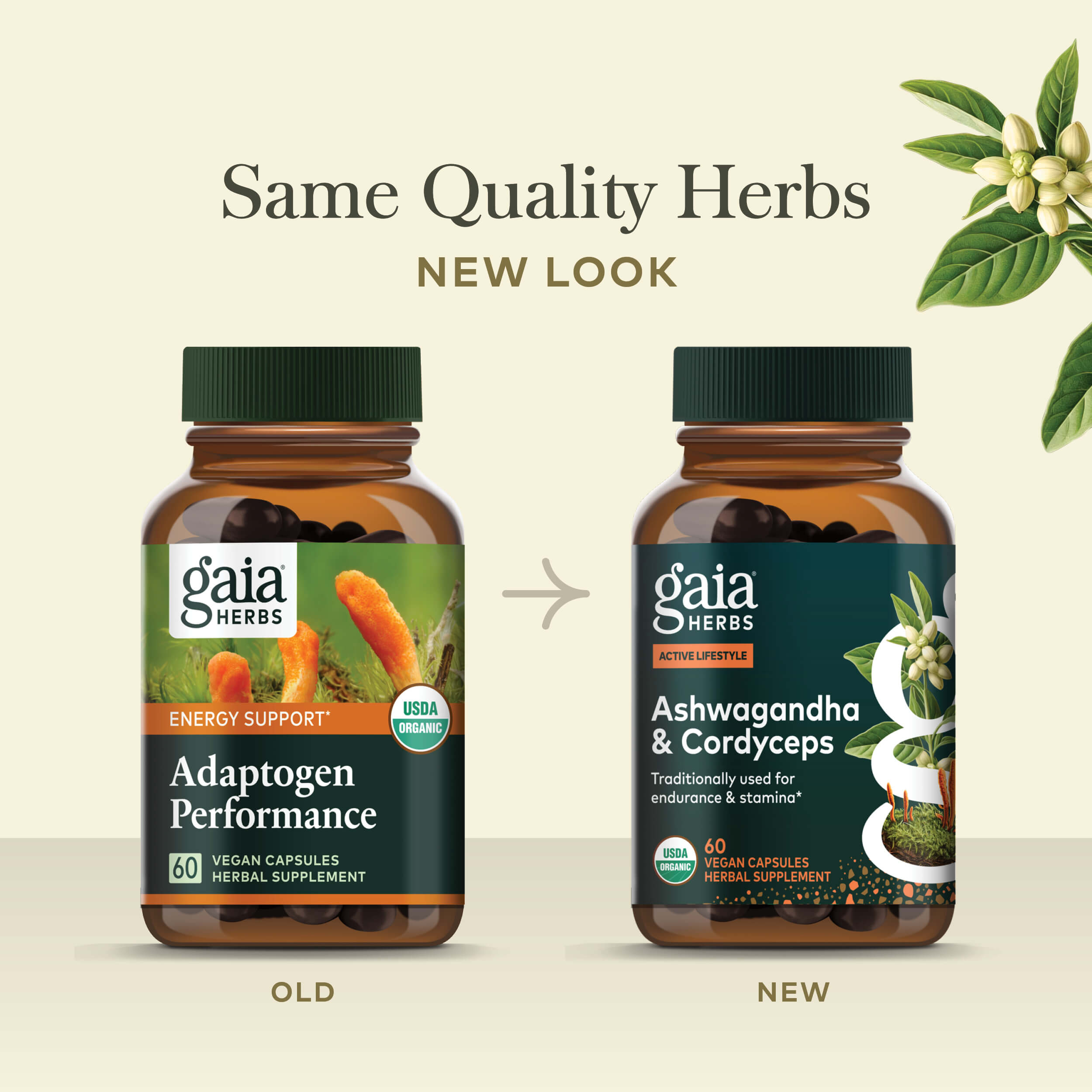 Adaptogen Performance Mushrooms & Herbs | Gaia Herbs
