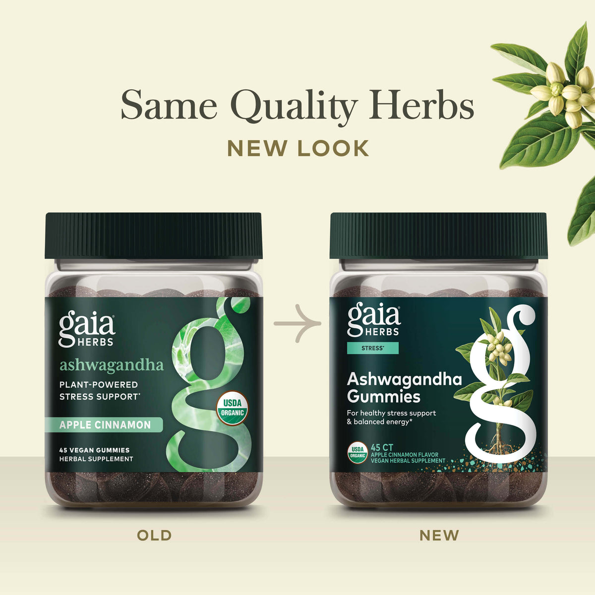 Ashwagandha Gummies 45ct Old Label Versus New Label Comparison 