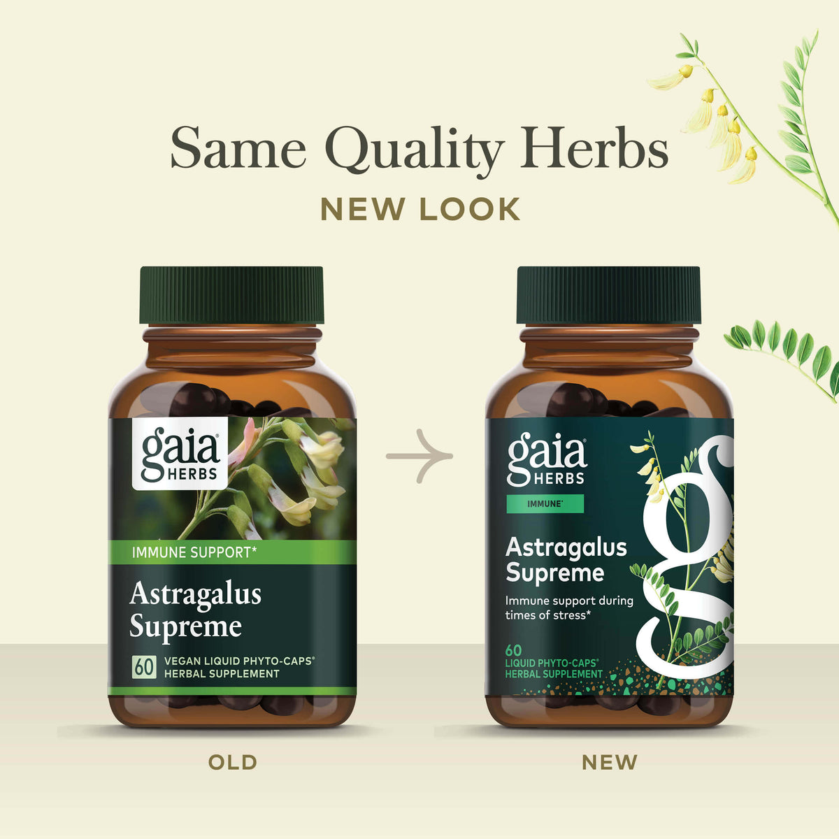 Astragalus Supreme Old Label Versus New Label Comparison 