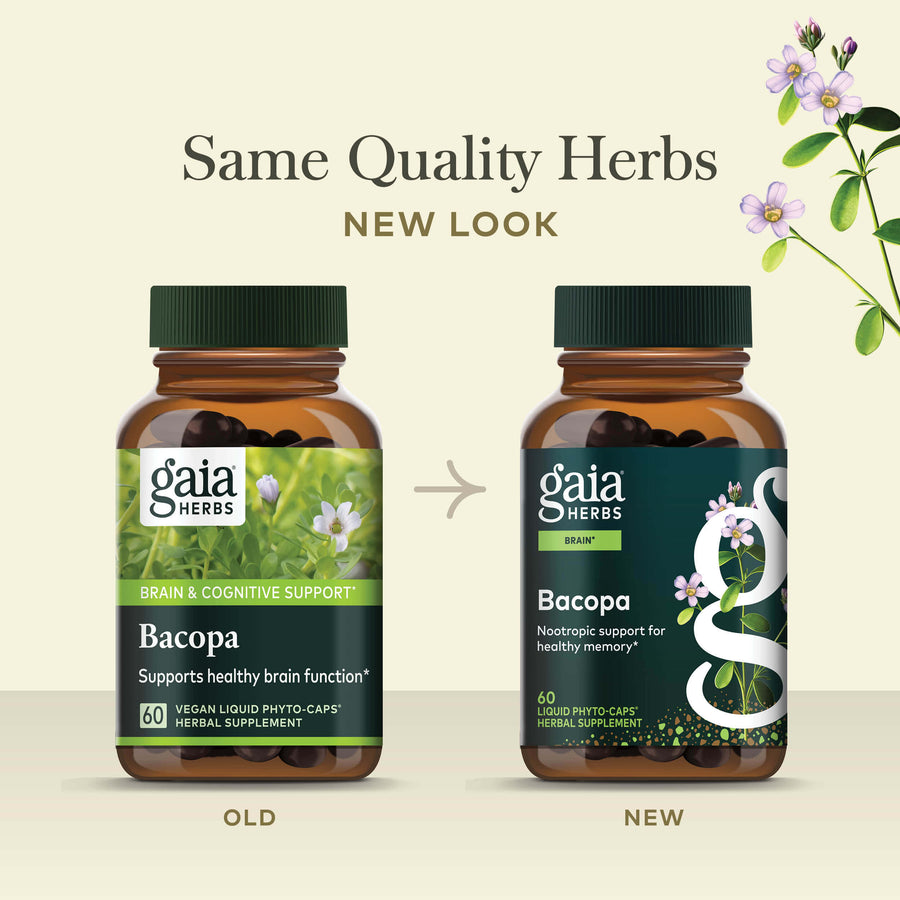 Acheter God Hands Gaia Biaisé Excentrique 3,5 grammes Leurre Coulant 44 Acheter God Hands Gaia Biaisé Excentrique 3,5 grammes Leurre Coulant 44