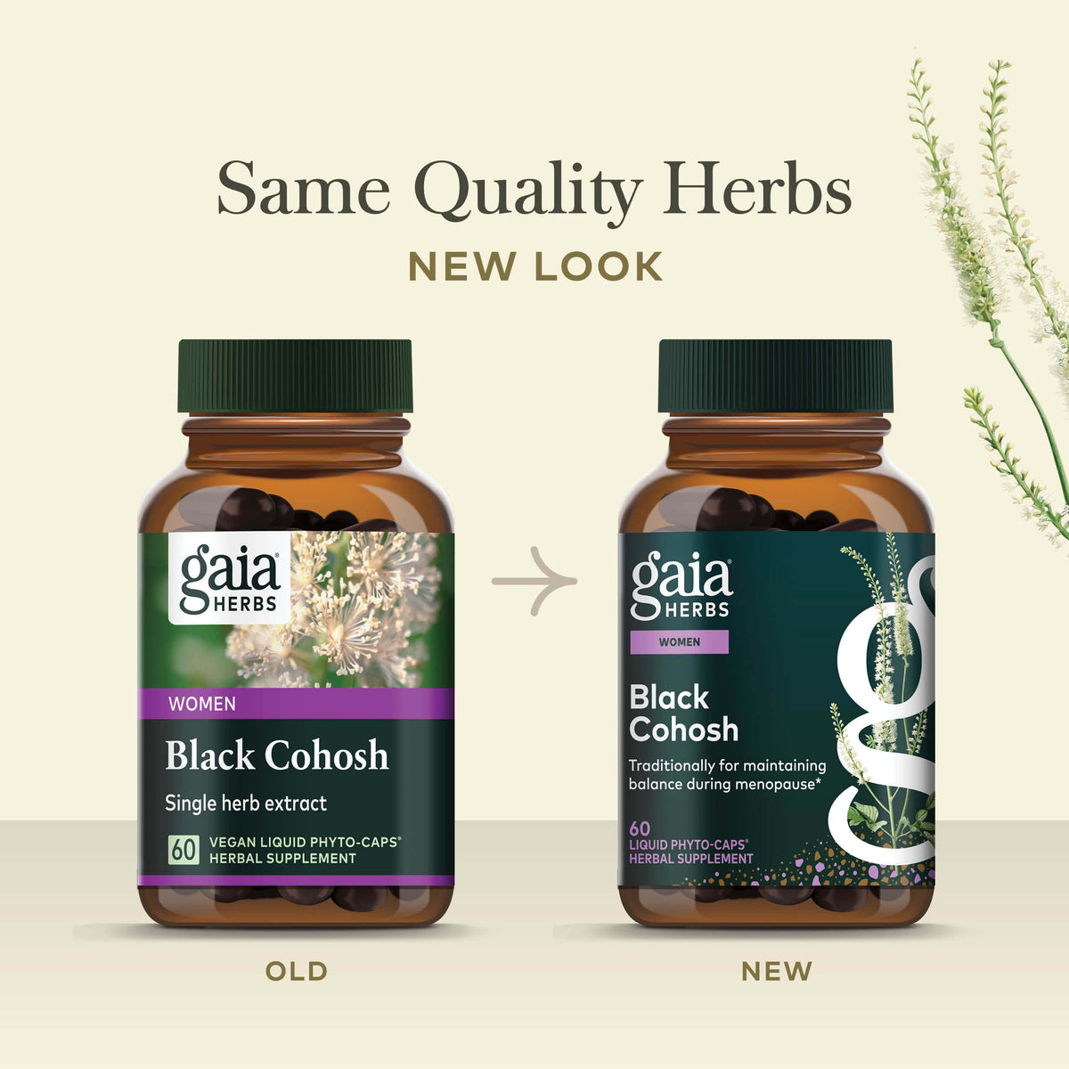 Black Cohosh 60ct Old Label Versus New Label Comparison 