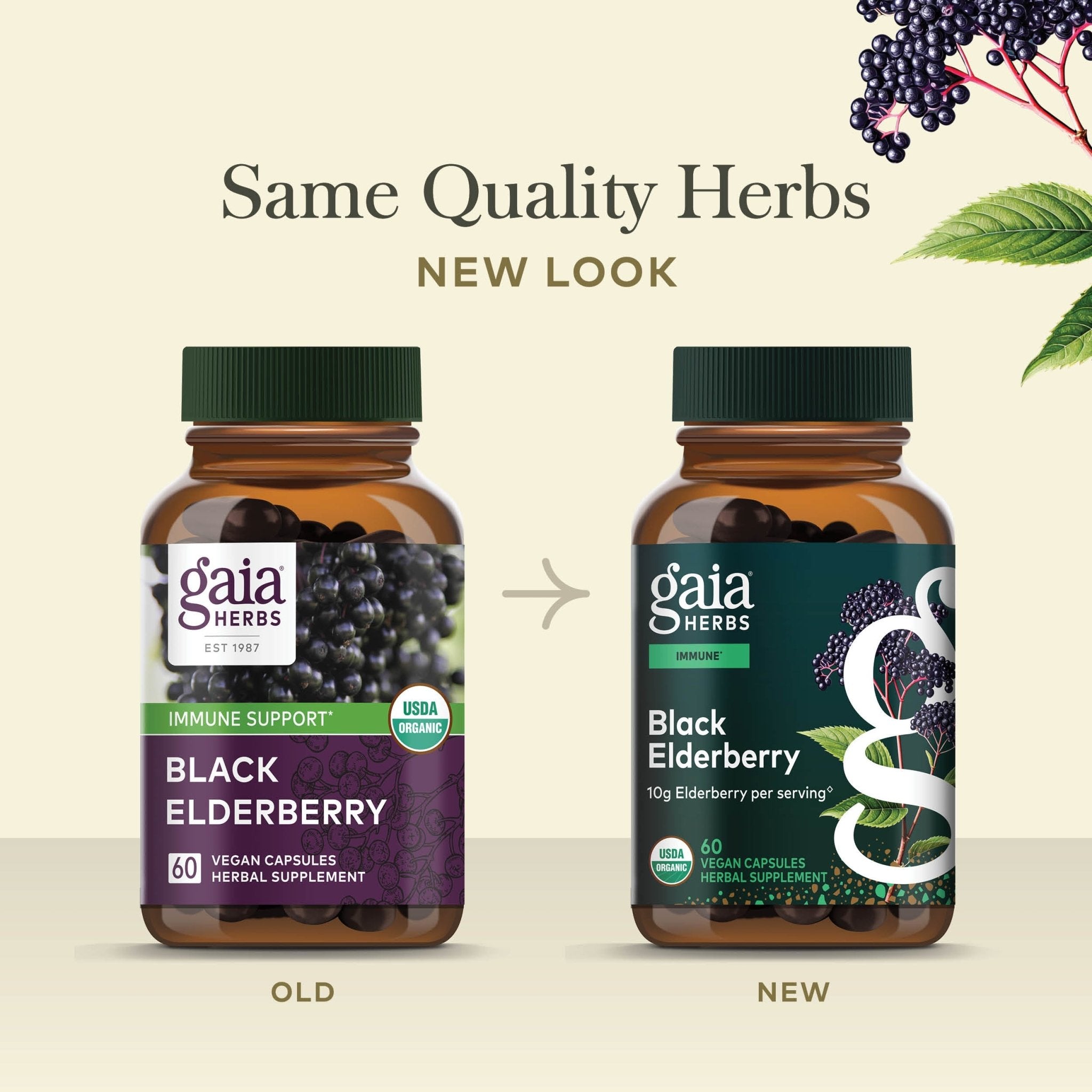 Organic Black Elderberry Immune Support* | Gaia Herbs