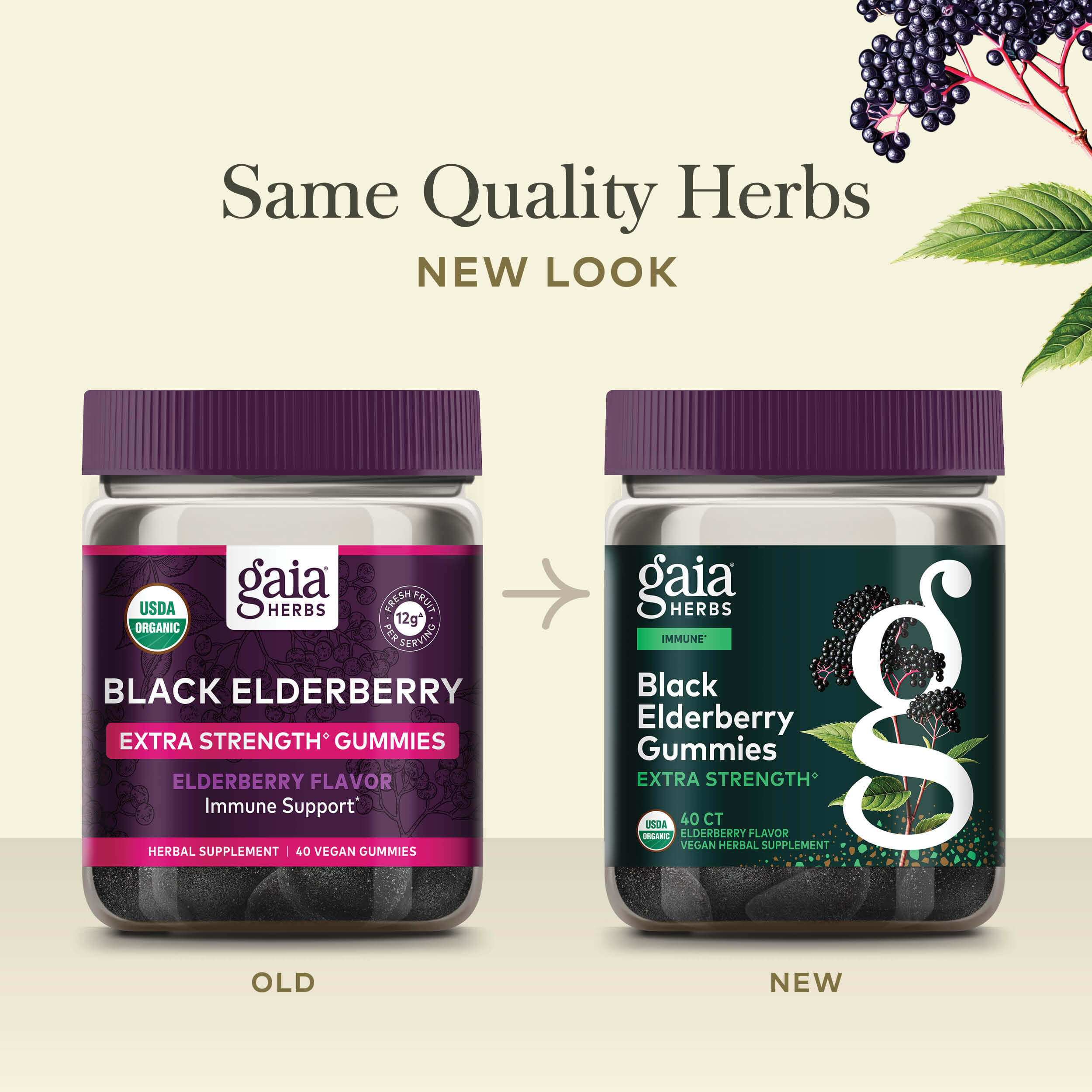 Black Elderberry Extra Strength Gummies | Gaia Herbs