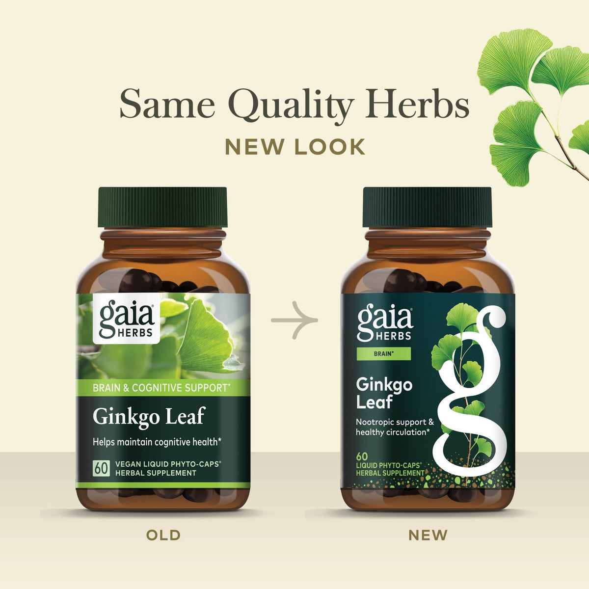 Ginkgo Leaf Old Label Versus New Label Comparison 