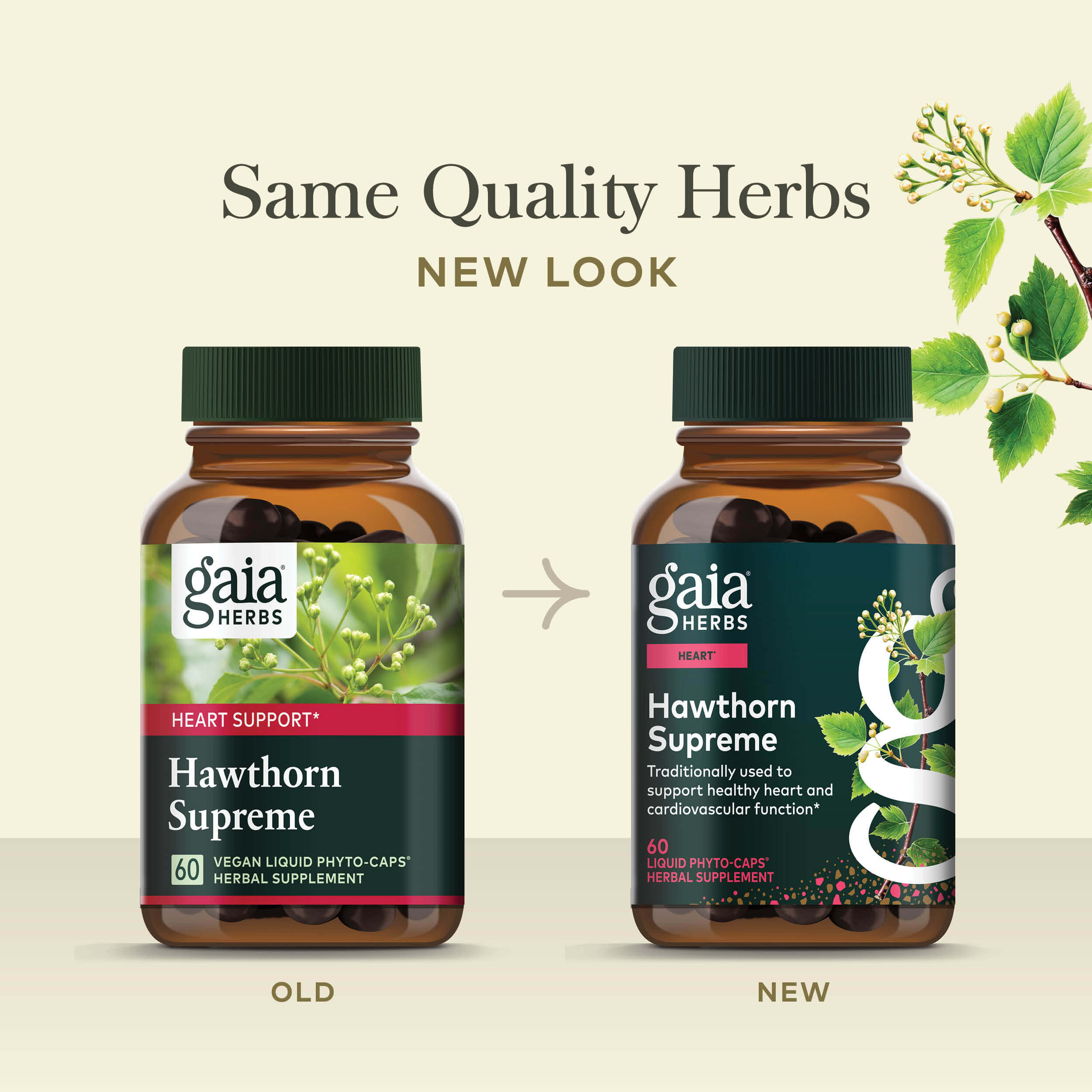 Hawthorn Supreme Heart Health Supplement* | Gaia Herbs