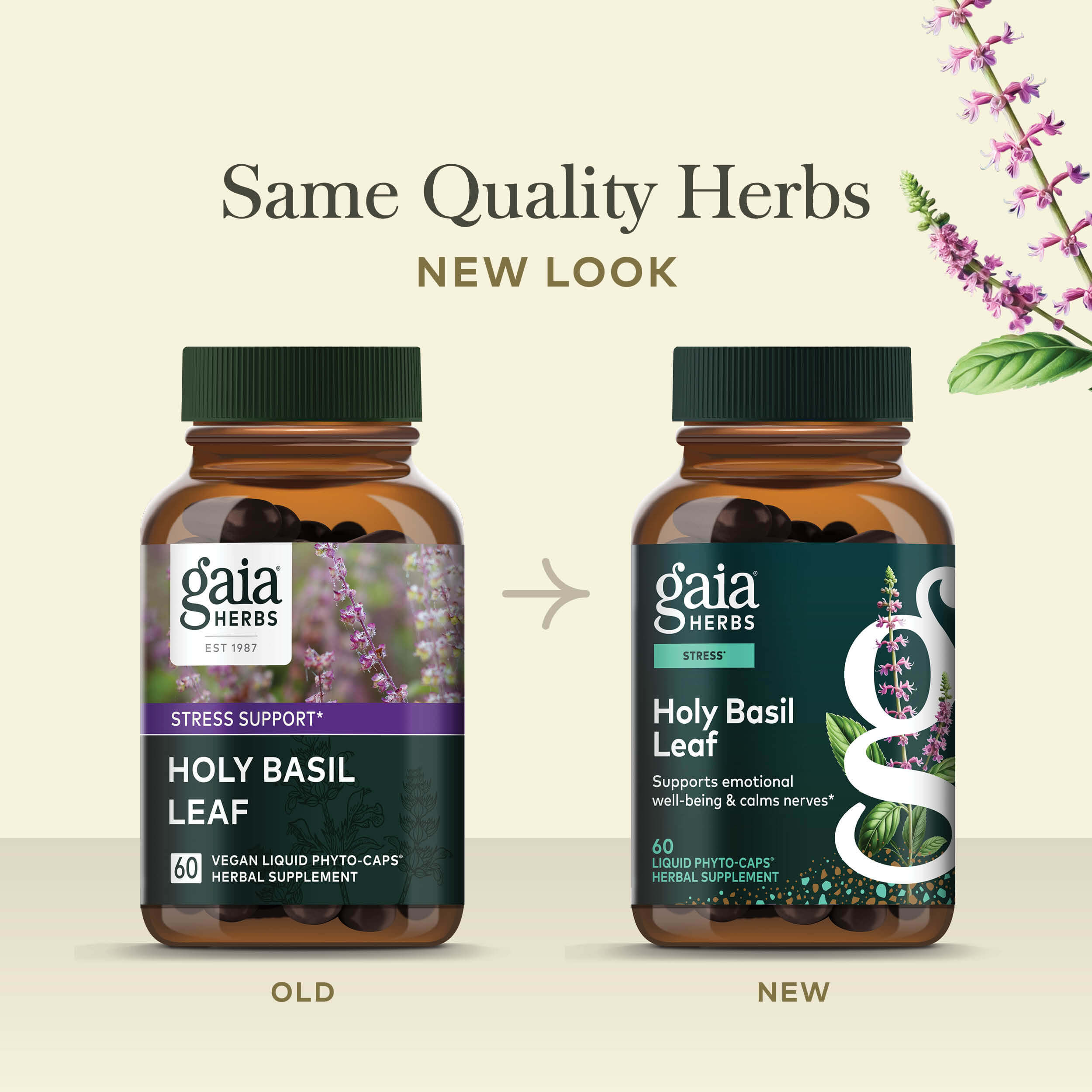 Holy Basil Leaf Adaptogenic Supplement | Gaia Herbs