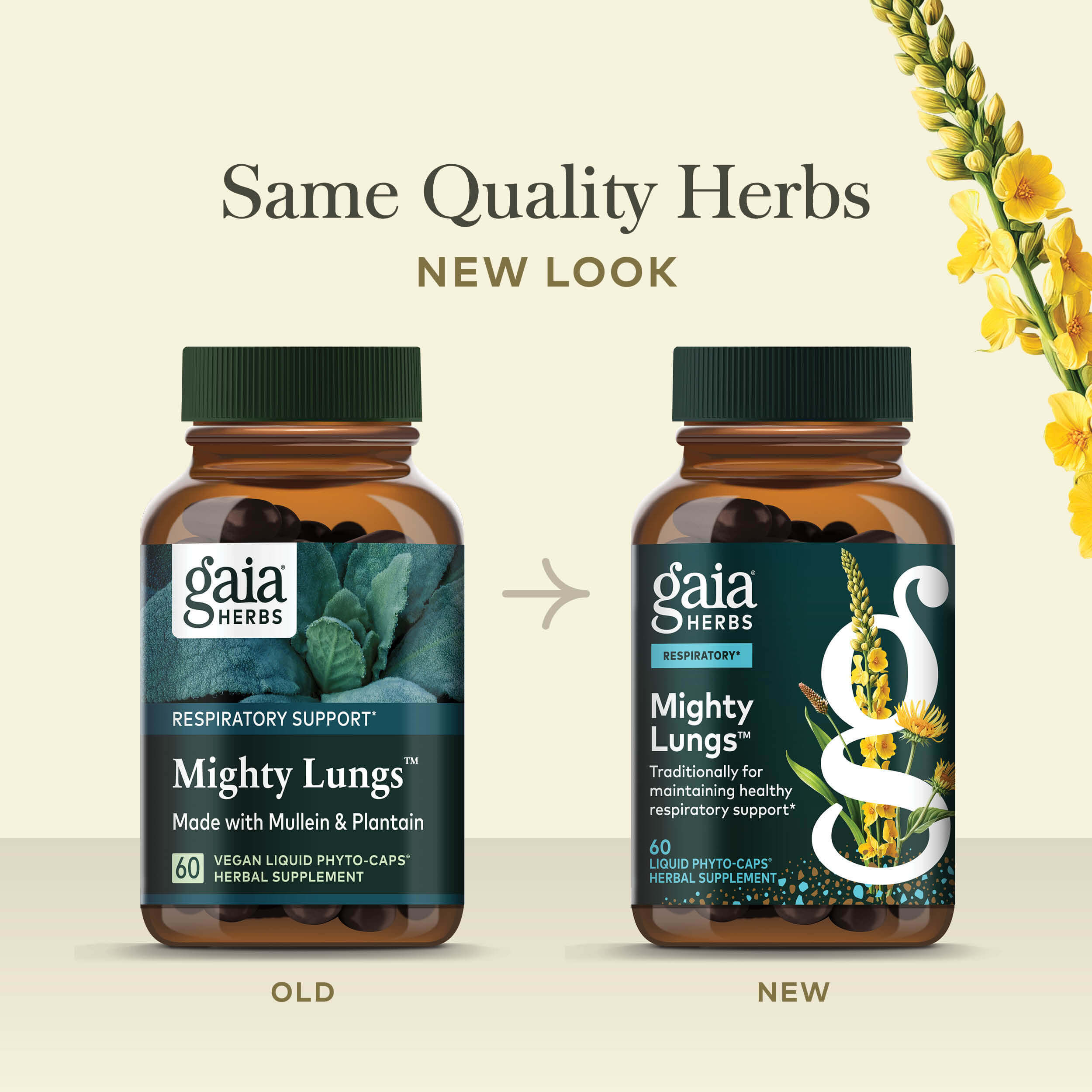 Lung Support Supplement: Gaia Herbs®